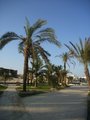 hurghada 2006 14085893