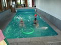 Poolparty Juni 09 61145486