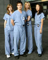 Grey`s Anatomy 8133396