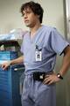 Grey`s Anatomy 8133416