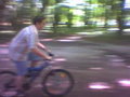 Schlosspark 14445009