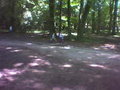 Schlosspark 14445010