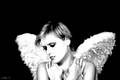 Angel`s 2214732