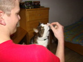 Meine Katze und meine anderen Tiere 33218276