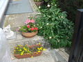 Im Garten 75608827