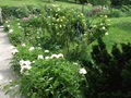 Im Garten 75608859