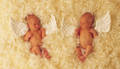 Anne Geddes 4500666