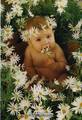 Anne Geddes 4500763