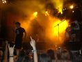 Donauinselfest 2008 44841989