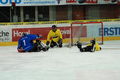 *EISHOCKEYSPIEL*  mit der Firma 50165129