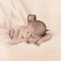 Anne Geddes 14377634