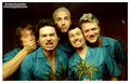 ME FIRST AND THE GIMME GIMMES 10641467