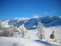 Skifahren Höss 28.01.2008 33087387