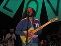 ZIGGY MARLEY 11208127