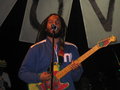 ZIGGY MARLEY 11208134