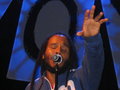 ZIGGY MARLEY 11208181