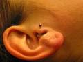 Piercings 2095312