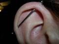 Piercings 2096159