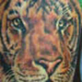 tattoos 2134074