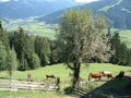 Wandern in Altenmarkt im Pongau 66669333