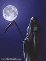 The Grim Reaper 4461016