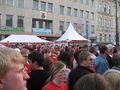 fanzone amstetten 39750131