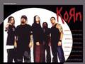 Bushido, KoRn und The Offspring 7040843