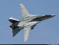 F-14Tomcat 8238820