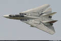 F-14Tomcat 8238842