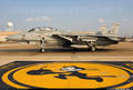 F-14Tomcat 8239244