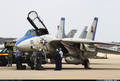 F-14Tomcat 8239265