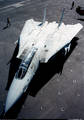 F-14Tomcat 8239287