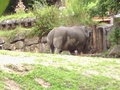 Tierpark Hellbrunn 18434687