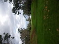 Madeira 52468491