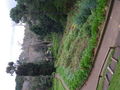 Madeira 52468503