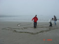 trip to tofino 10341761