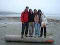 trip to tofino 10341779