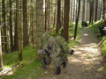 Bundesheer 30319484