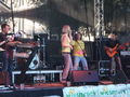 WIESENROCK 2009 65350187