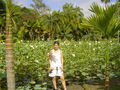 Mauritius 2009 70116849