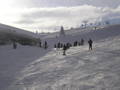 Urlaub flachau 3503647