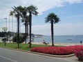 KROATIEN - POREC 2009 62690157