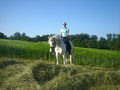 Reiten 2008 38788724