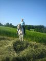 Reiten 2008 38788761