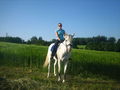 Reiten 2008 38788802