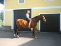 Reiten 2008 38919873