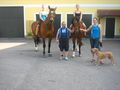 Reiten 2008 38919960