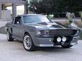 Shelby 2918366