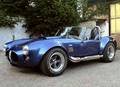 Shelby 2918373