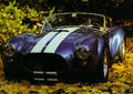 Shelby 2918412